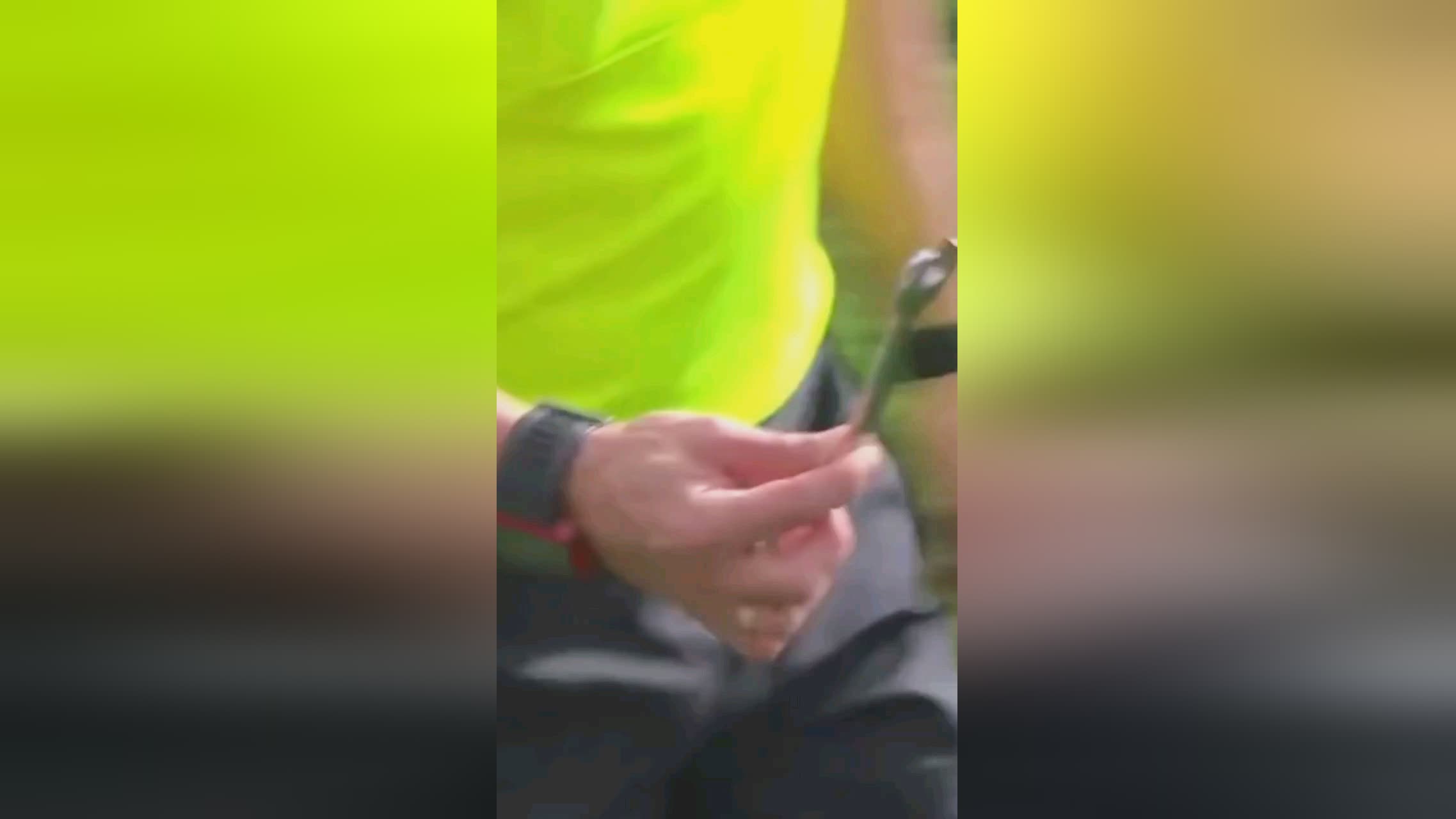 新赛季究